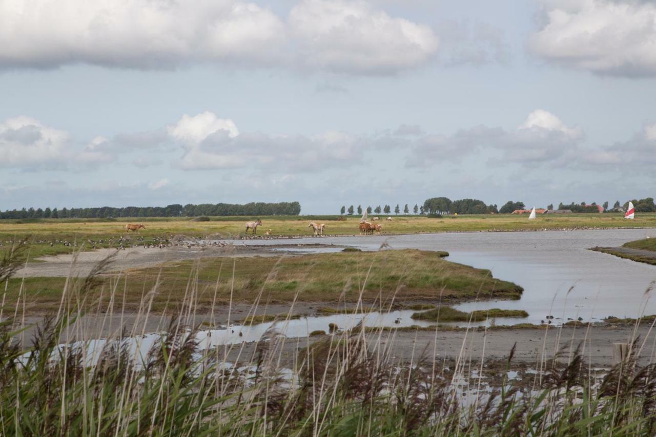 Vila Ootmen Wolphaartsdijk Exteriér fotografie